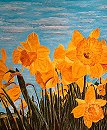 Daffodils