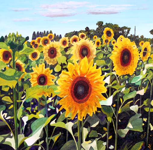 Sunflowers